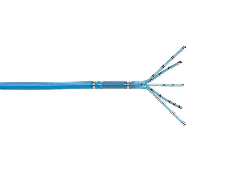 Cardiology — Product 0143 — Cardiology