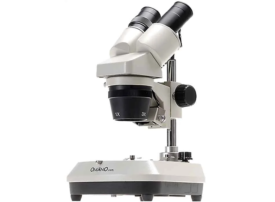 Laboratory — Product 0381 — Laboratory