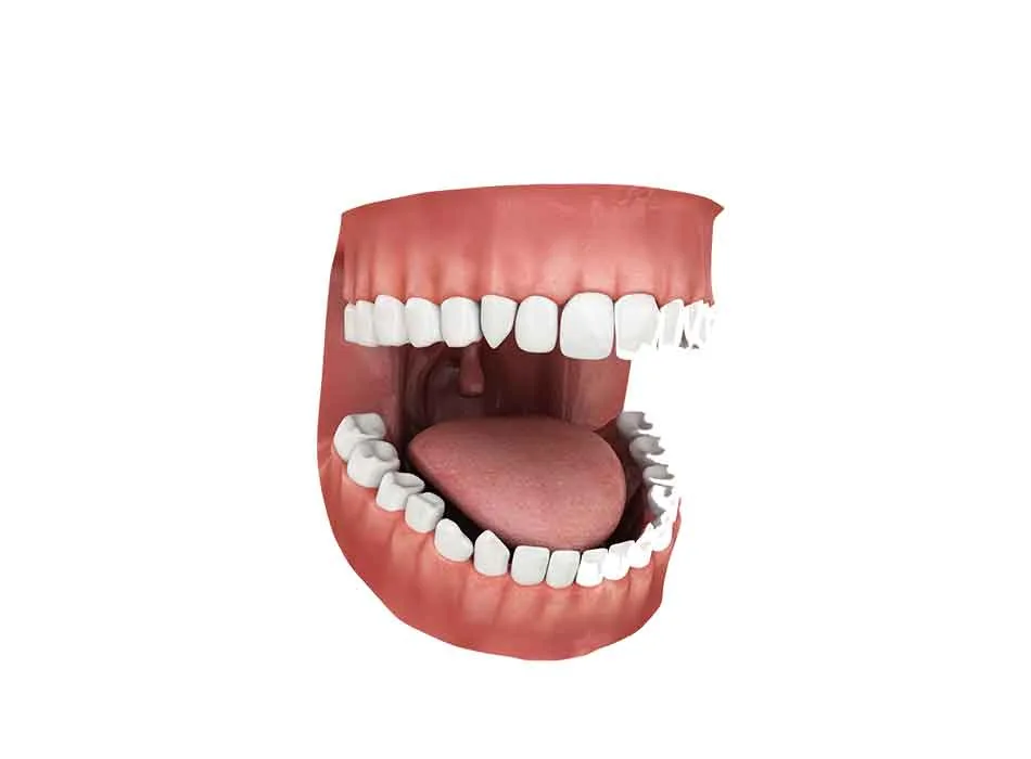 Dental Practice — Product 0434 — Dental Practice