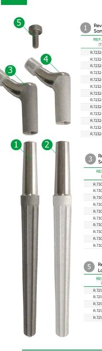 Hip Revision Joint Prosthesis