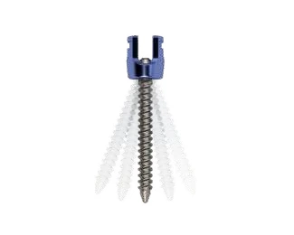Polyaxial Screw